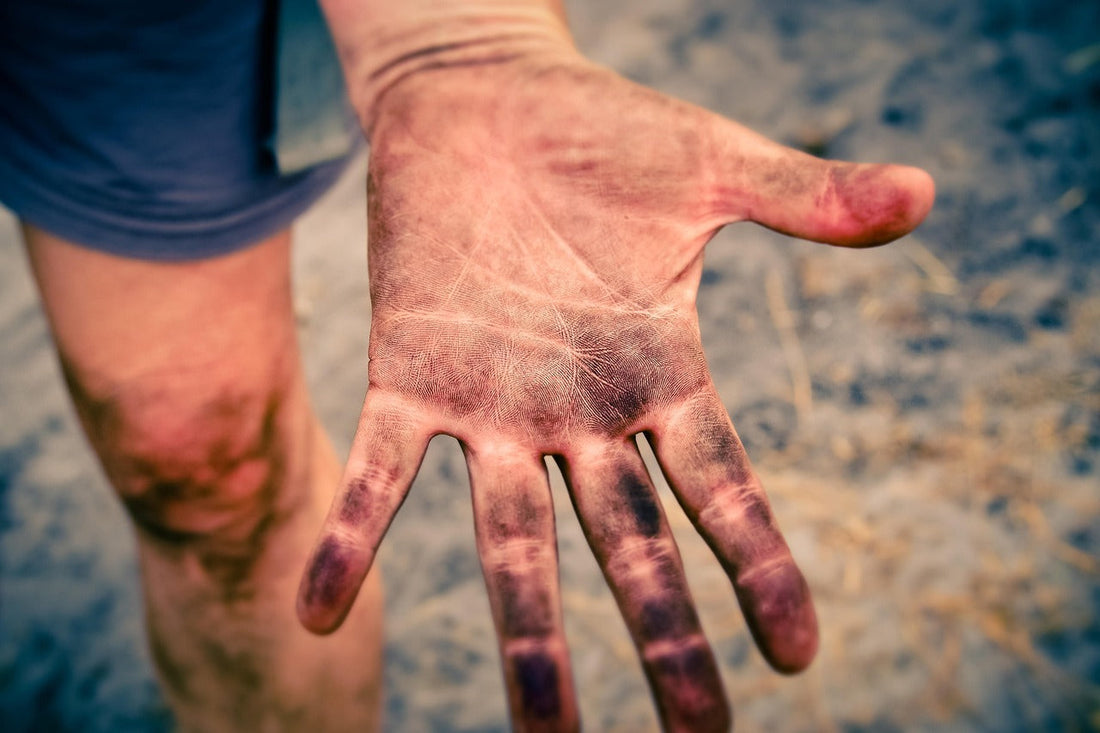Waarom ontkiemen mijn tropische zaden niet?