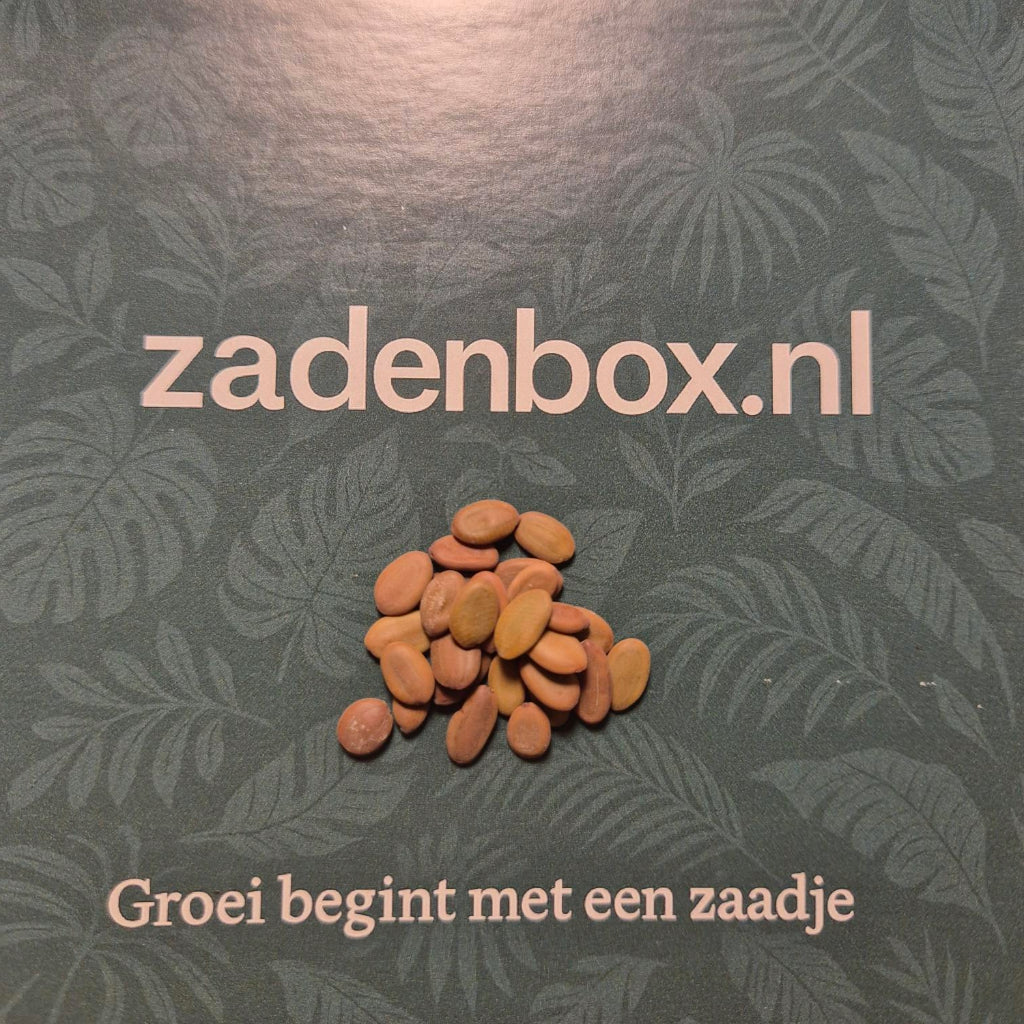 Roze Zijdeboom Zaden