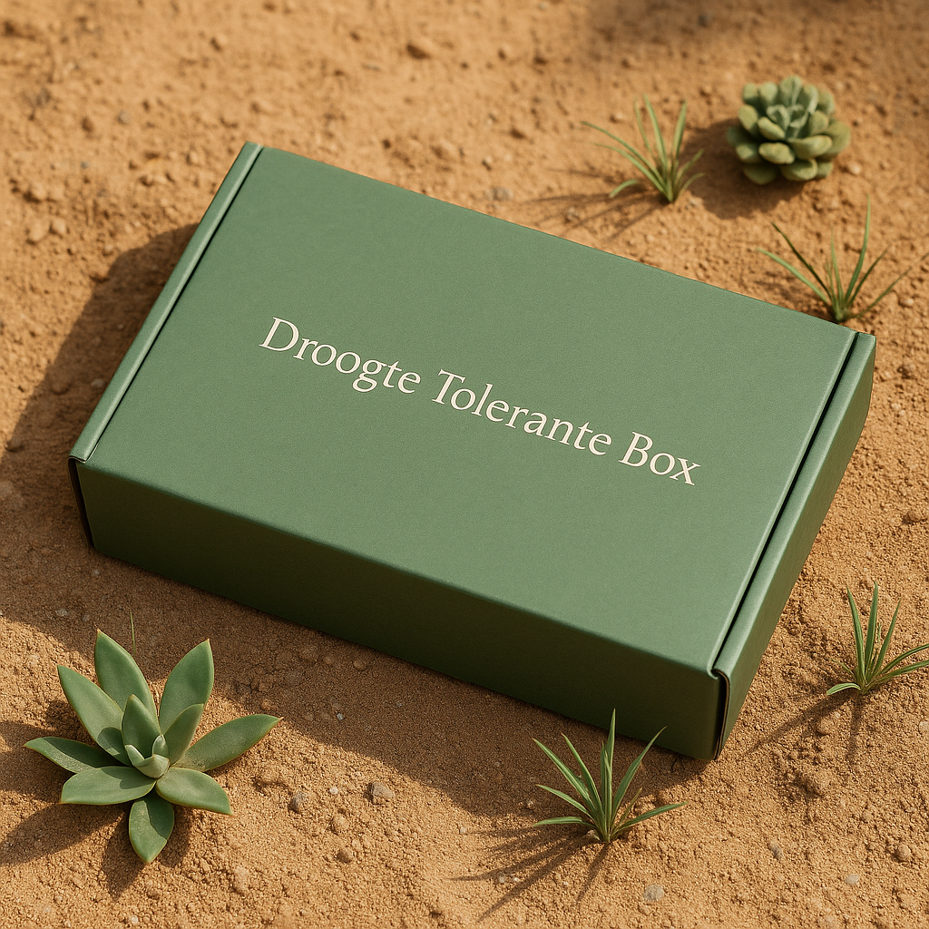 droogte tolerante box