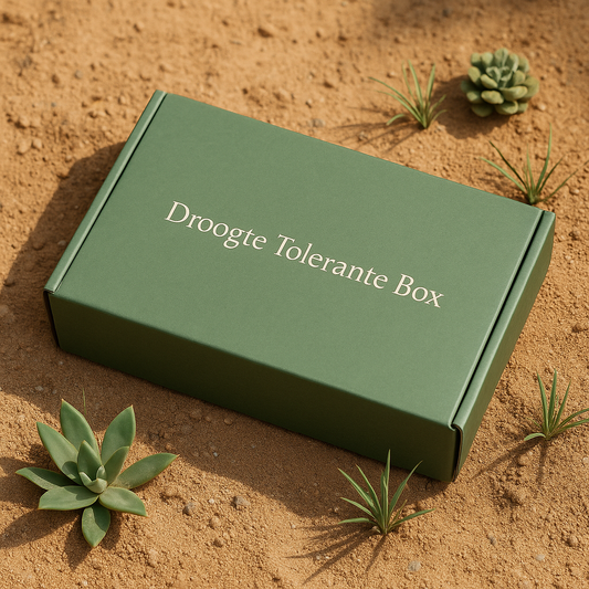droogte tolerante box