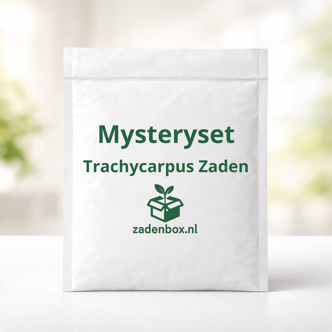 Trachycarpuszaden Mysteryset