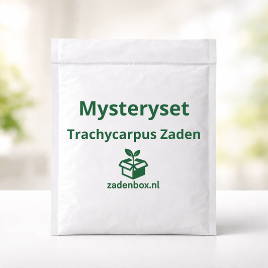 Trachycarpuszaden Mysteryset