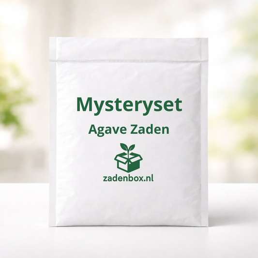 Agavezaden Mysteryset