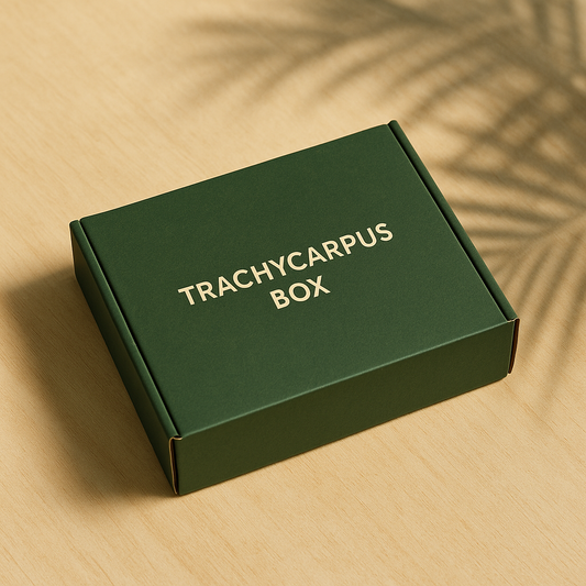 Trachycarpus Box